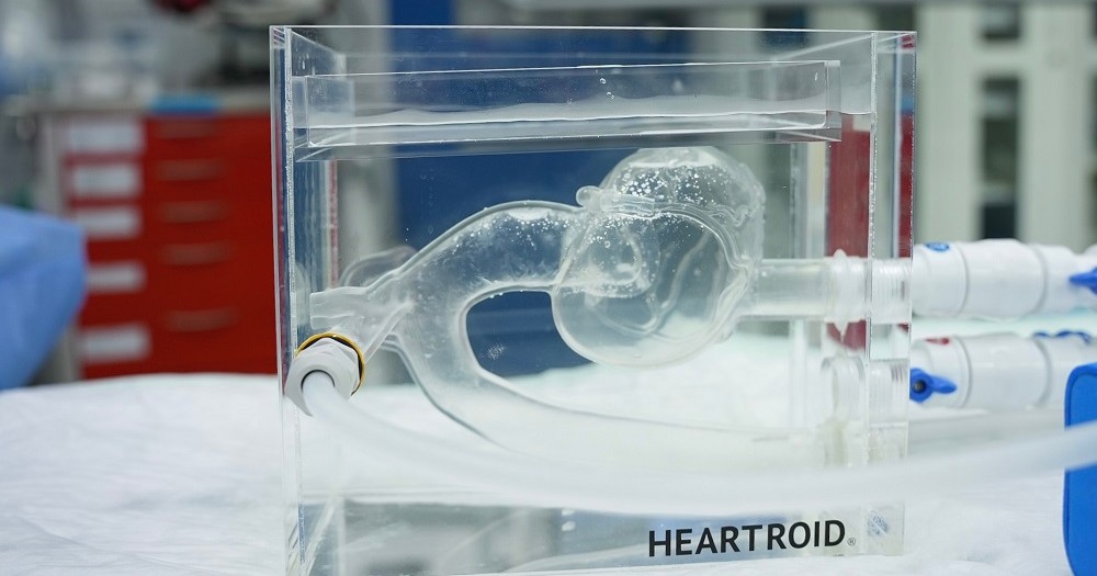 HeartRoid