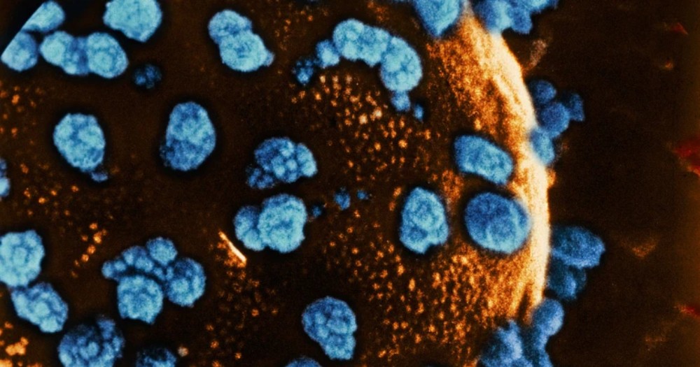 stem cells used for treating diabetes