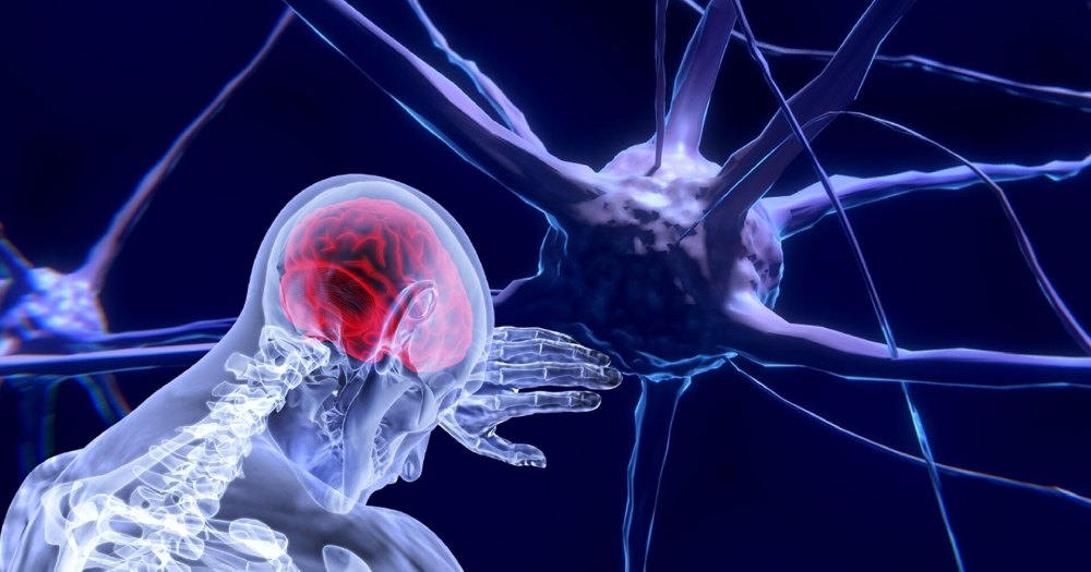neuroscience