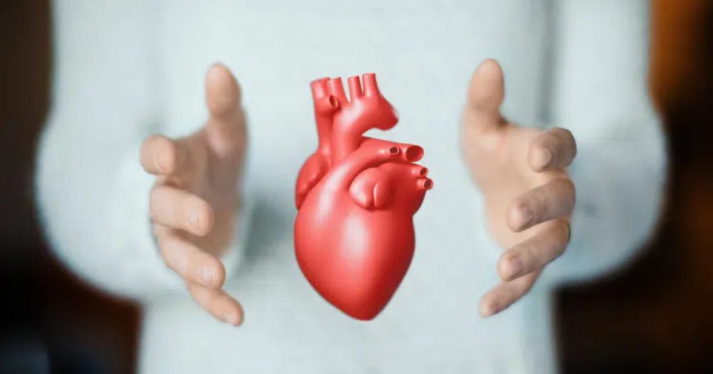 AI model to generate heart animations