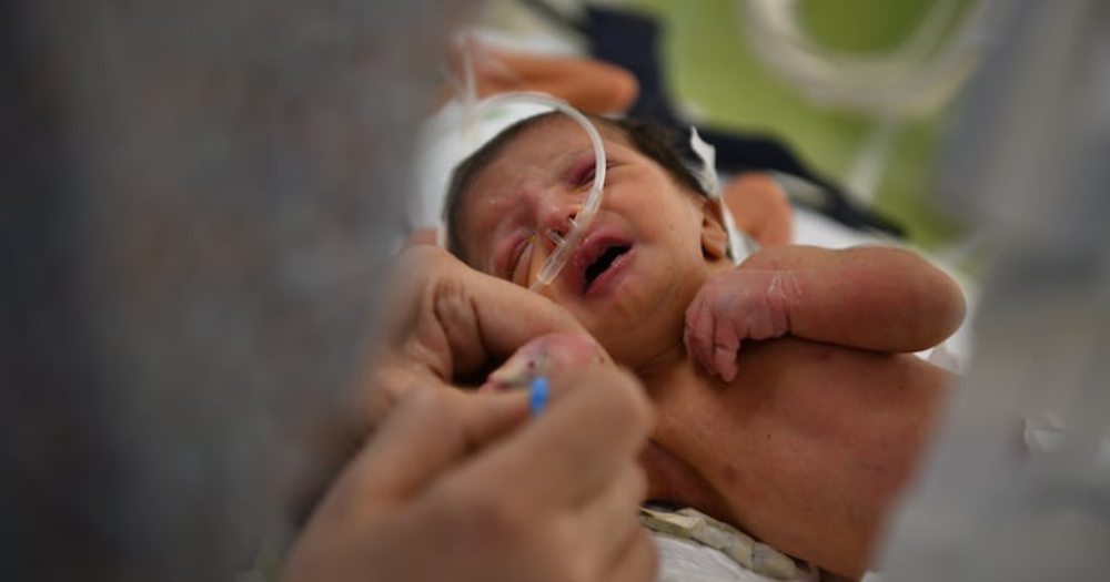 newborn