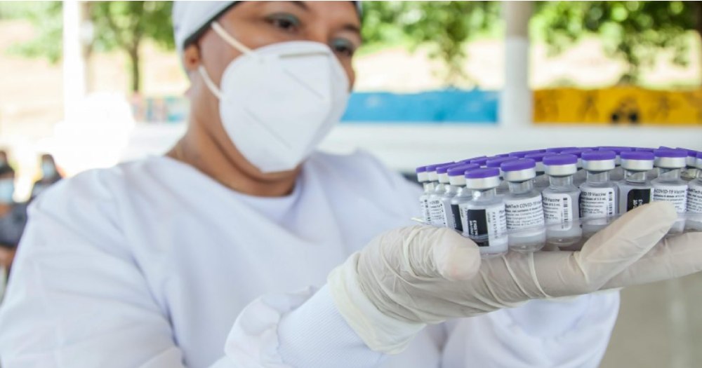 Iraq Dhamani digital health platform